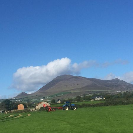 Willowtree Glamping Mournes Villa Annalong Eksteriør bilde