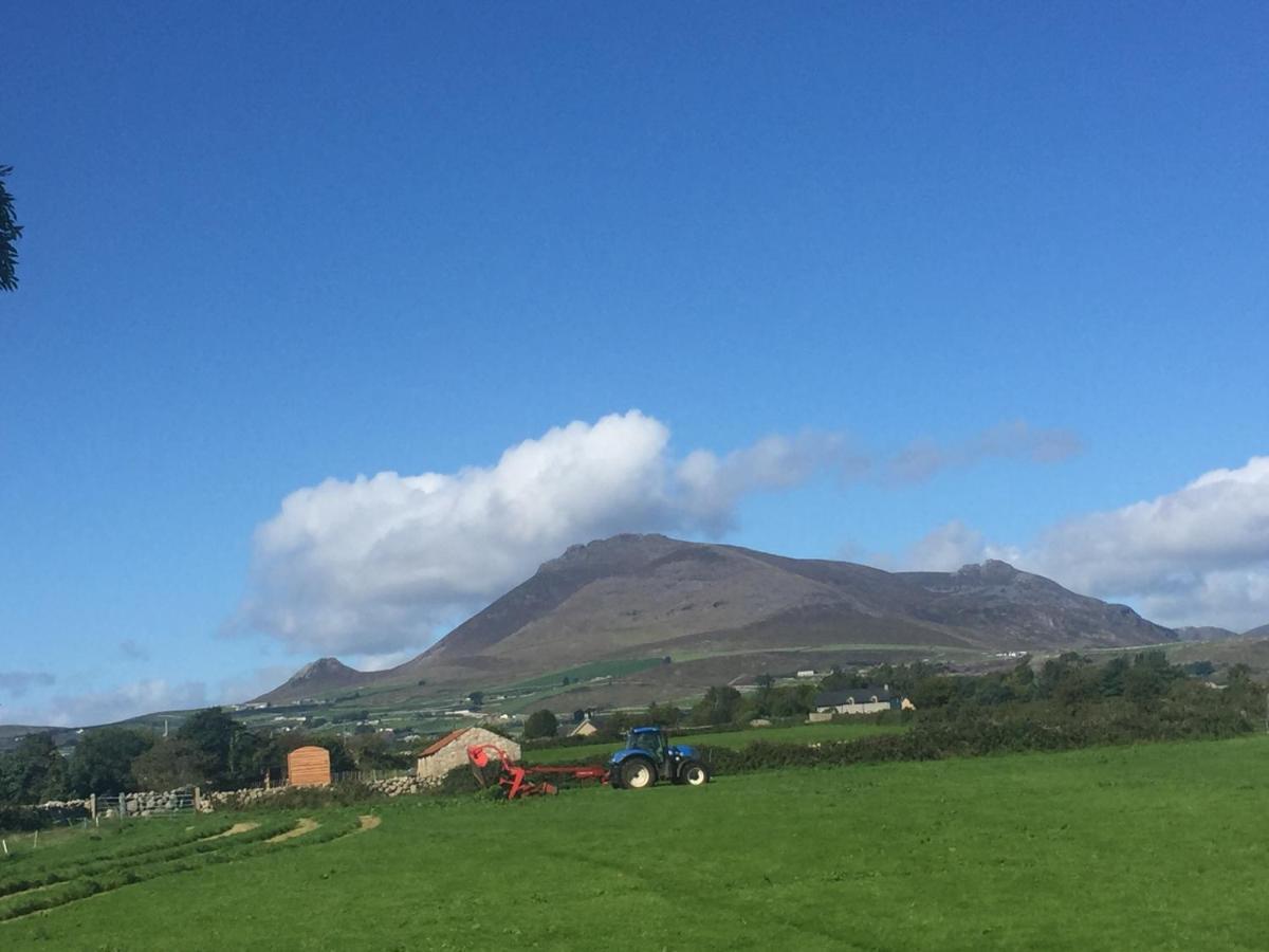 Willowtree Glamping Mournes Villa Annalong Eksteriør bilde