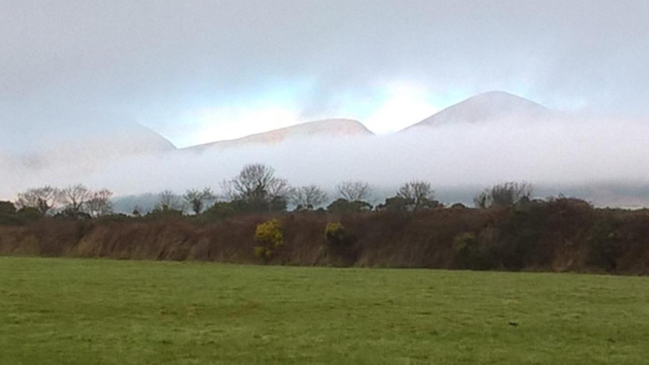 Willowtree Glamping Mournes Villa Annalong Eksteriør bilde