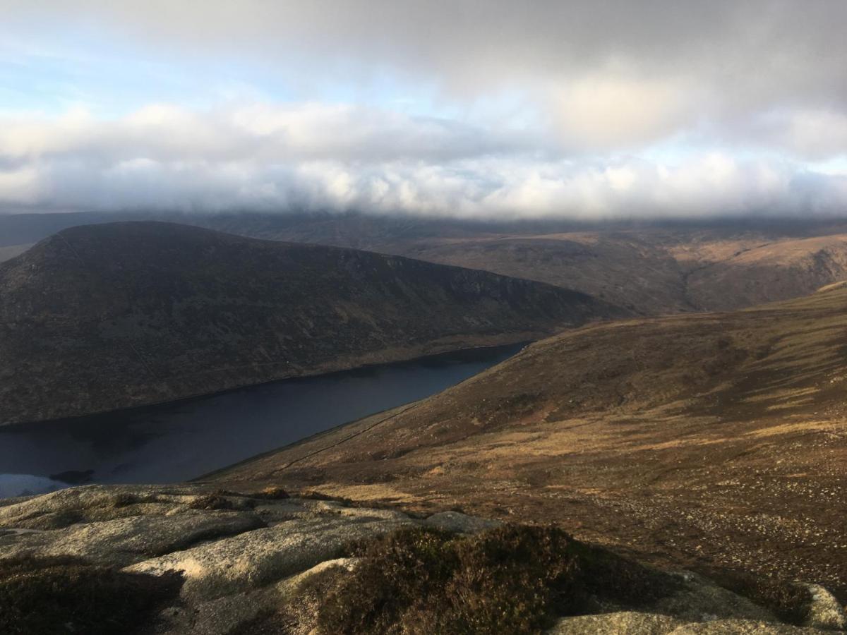 Willowtree Glamping Mournes Villa Annalong Eksteriør bilde